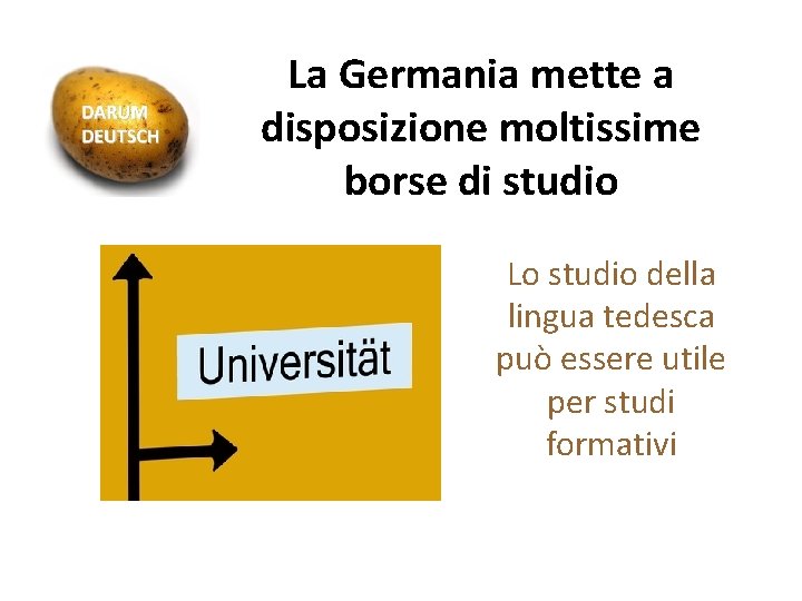 La Germania mette a disposizione moltissime borse di studio Lo studio della lingua tedesca