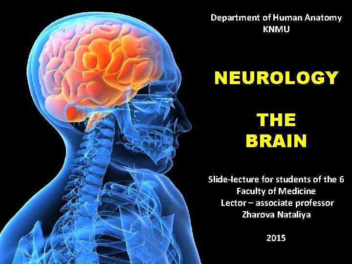 Department of Human Anatomy KNMU NEUROLOGY THE BRAIN Slide-lecture for students of the 6