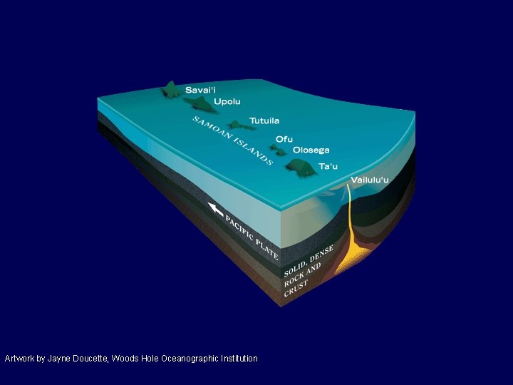 Artwork by Jayne Doucette, Woods Hole Oceanographic Institution 