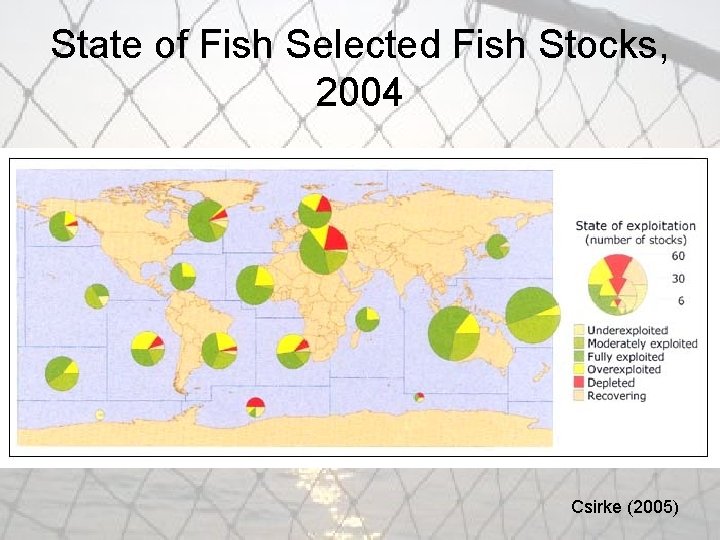 State of Fish Selected Fish Stocks, 2004 Csirke (2005) 