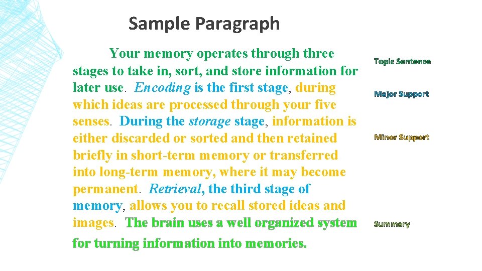 Sample Paragraph Your memory operates through three stages to take in, sort, and store
