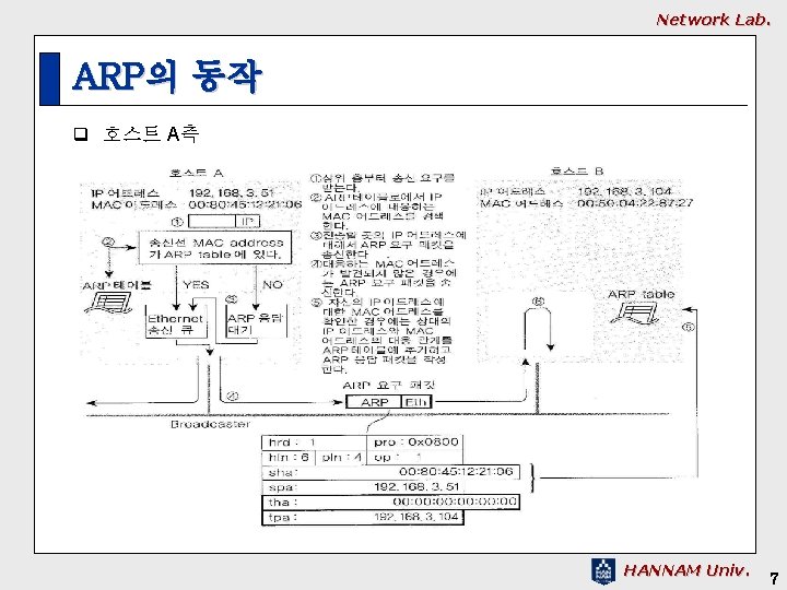 Network Lab. ARP의 동작 q 호스트 A측 HANNAM Univ. 7 