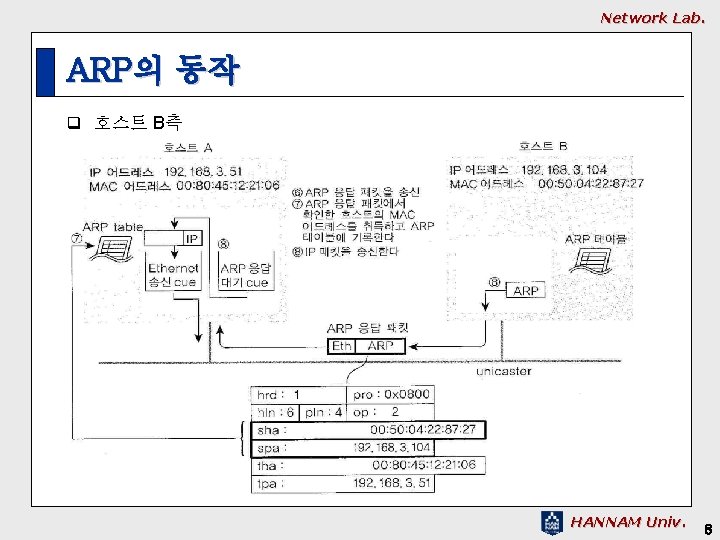 Network Lab. ARP의 동작 q 호스트 B측 HANNAM Univ. 8 