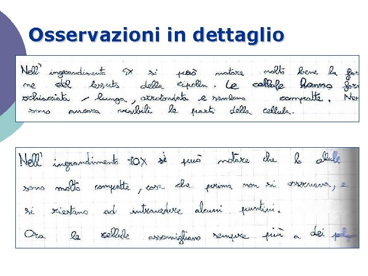 Osservazioni in dettaglio 