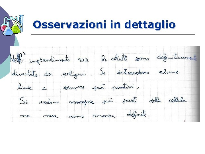 Osservazioni in dettaglio 