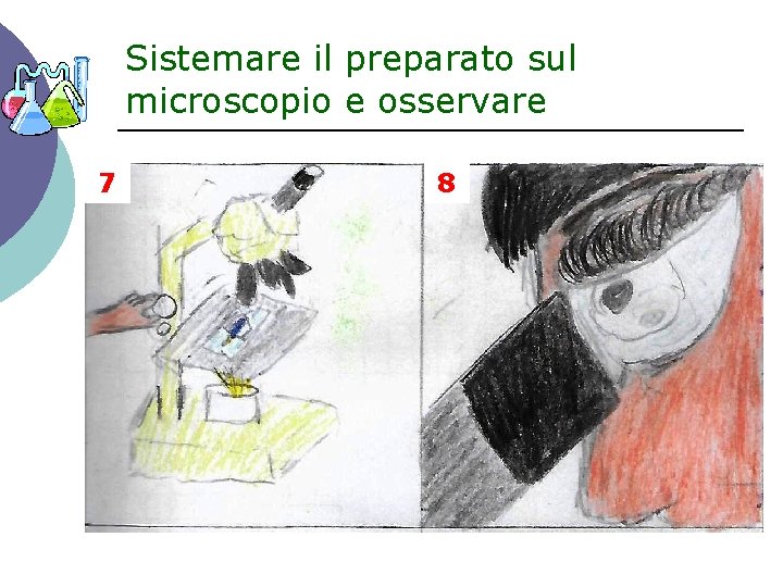 Sistemare il preparato sul microscopio e osservare 7 8 