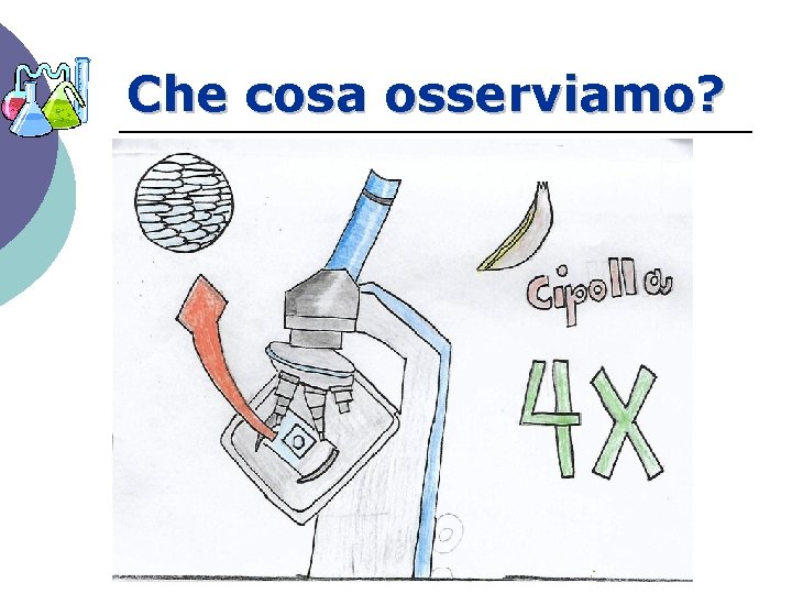 Che cosa osserviamo? 