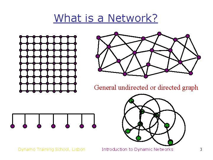 What is a Network? General undirected or directed graph Dynamo Training School, Lisbon Introduction What is a Network? General undirected or directed graph Dynamo Training School, Lisbon Introduction