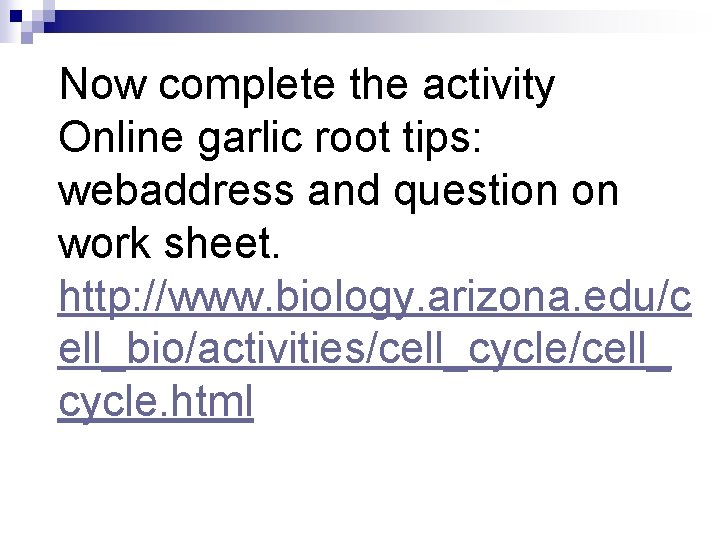 Now complete the activity Online garlic root tips: webaddress and question on work sheet.