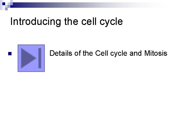 Introducing the cell cycle n Details of the Cell cycle and Mitosis 