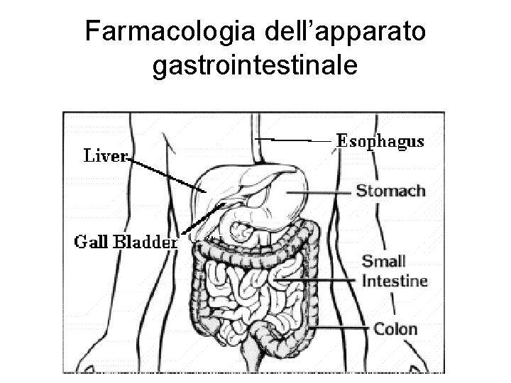 Farmacologia dell’apparato gastrointestinale 