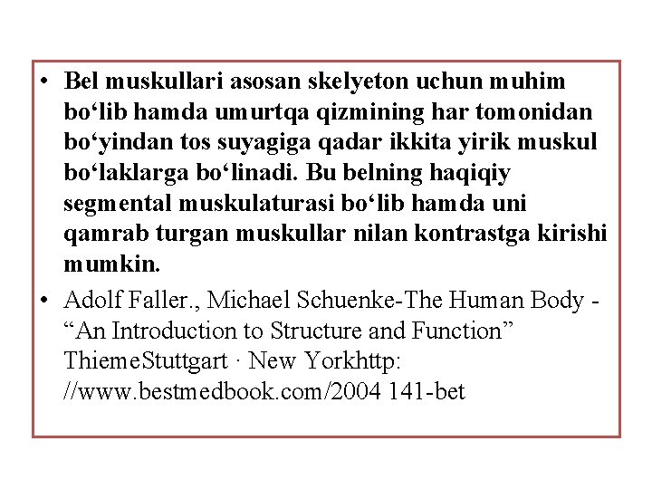  • Bel muskullari asosan skelyeton uchun muhim bо‘lib hamda umurtqa qizmining har tomonidan