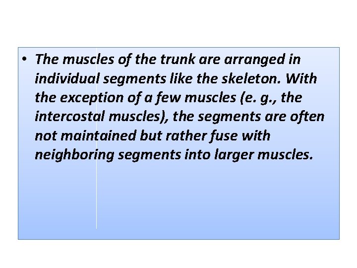  • The muscles of the trunk are arranged in individual segments like the