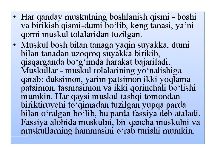  • Har qanday muskulning boshlanish qismi boshi va birikish qismi dumi bо‘lib, keng