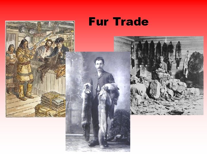 Fur Trade 
