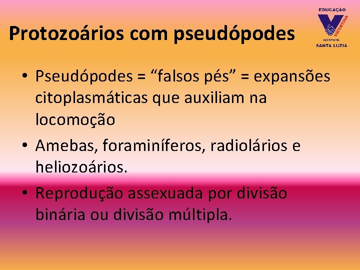 Protozoários com pseudópodes • Pseudópodes = “falsos pés” = expansões citoplasmáticas que auxiliam na Protozoários com pseudópodes • Pseudópodes = “falsos pés” = expansões citoplasmáticas que auxiliam na