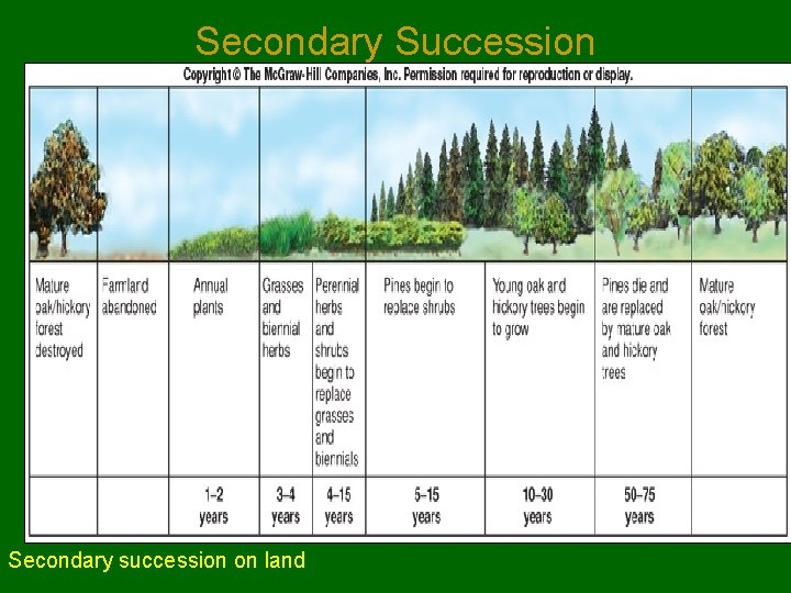 Secondary Succession Secondary succession on land 