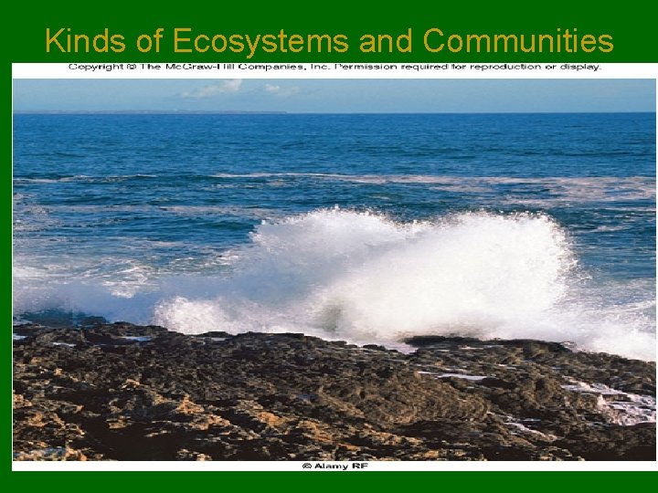 Kinds of Ecosystems and Communities 
