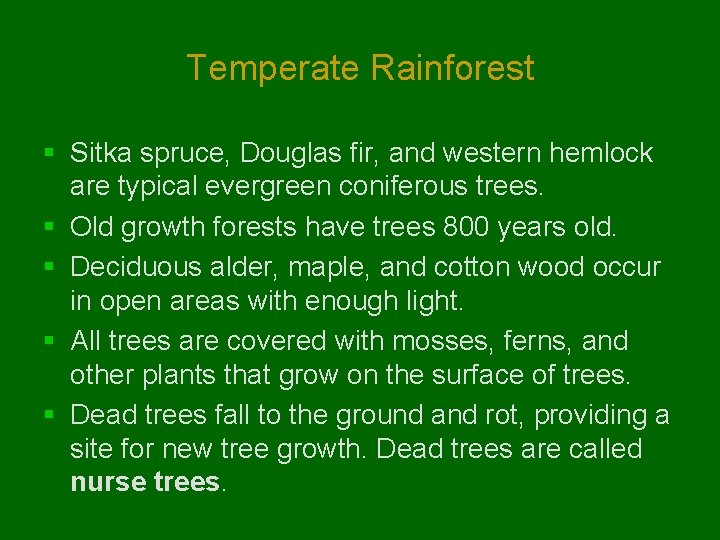 Temperate Rainforest § Sitka spruce, Douglas fir, and western hemlock are typical evergreen coniferous