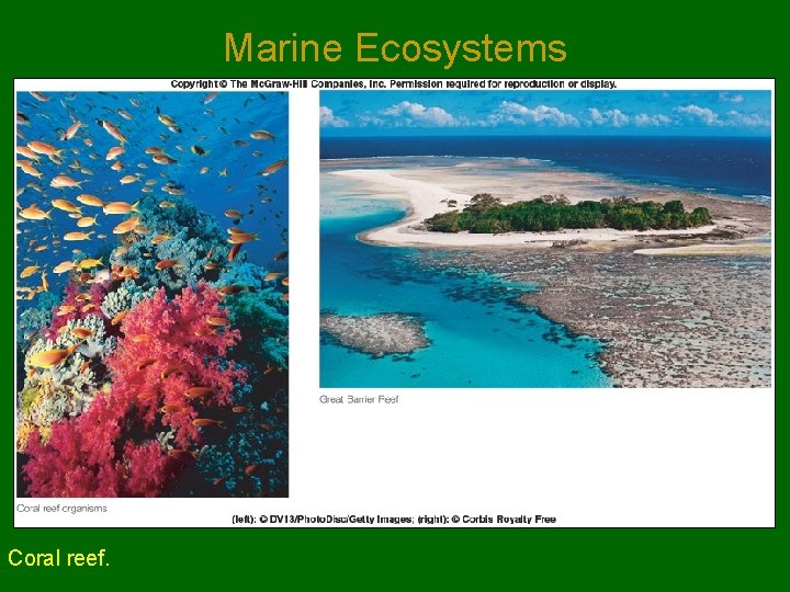 Marine Ecosystems Coral reef. 