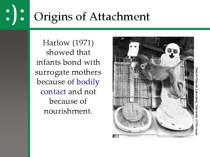 Origins of Attachment Harlow Primate Laboratory, University of Wisconsin Harlow (1971) showed that infants