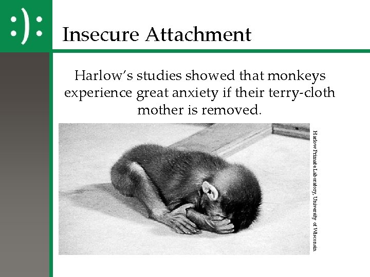 Insecure Attachment Harlow’s studies showed that monkeys experience great anxiety if their terry-cloth mother