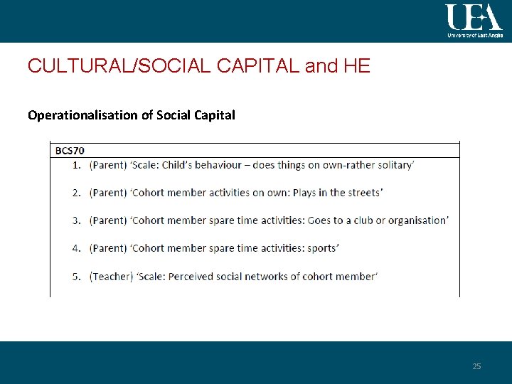 CULTURAL/SOCIAL CAPITAL and HE Operationalisation of Social Capital 25 