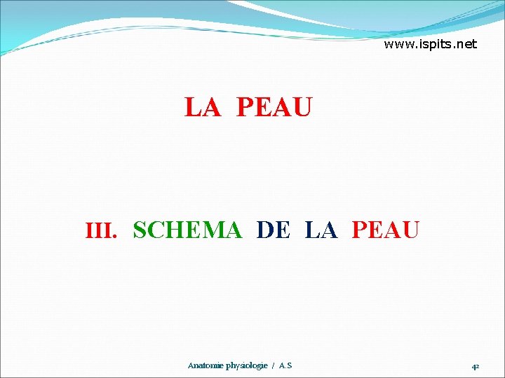 www. ispits. net LA PEAU III. SCHEMA DE LA PEAU Anatomie physiologie / A.