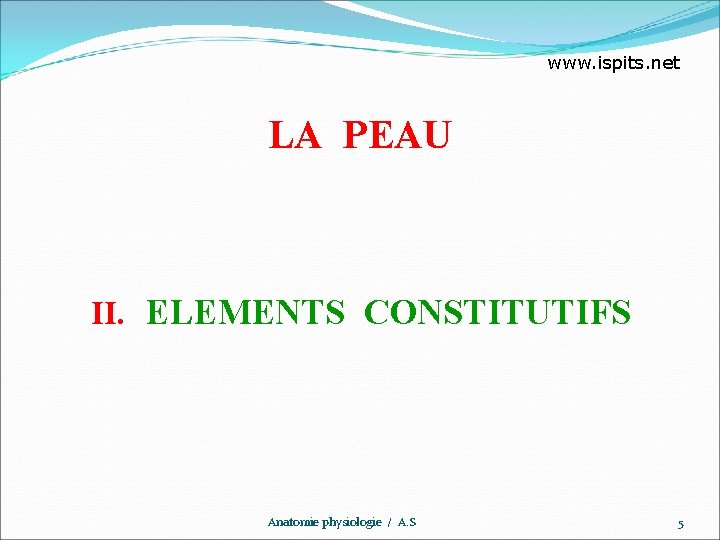 www. ispits. net LA PEAU II. ELEMENTS CONSTITUTIFS Anatomie physiologie / A. S 5