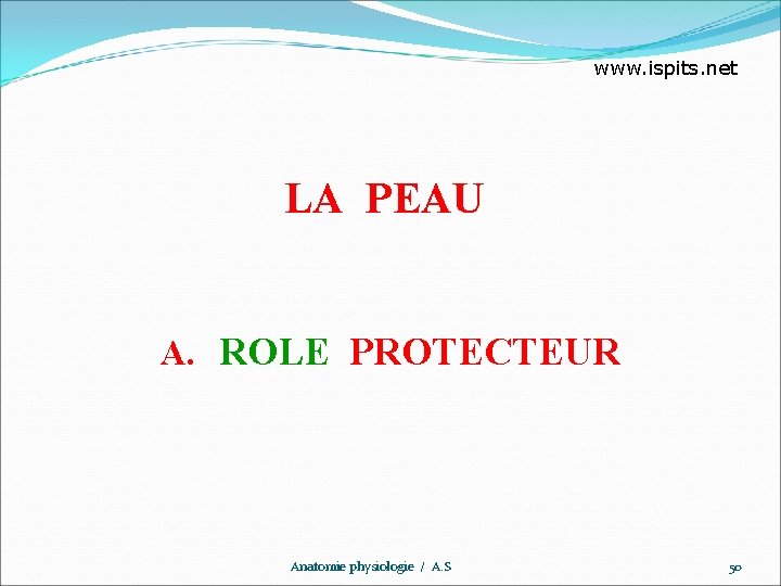 www. ispits. net LA PEAU A. ROLE PROTECTEUR Anatomie physiologie / A. S 50