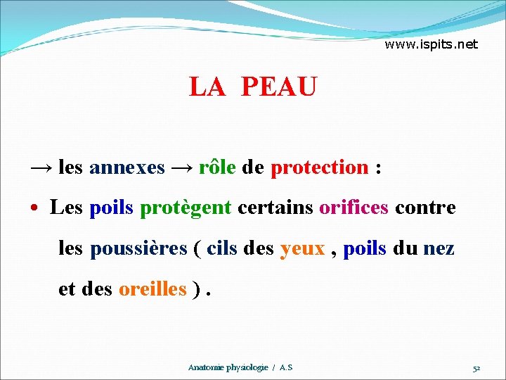 www. ispits. net LA PEAU → les annexes → rôle de protection : •