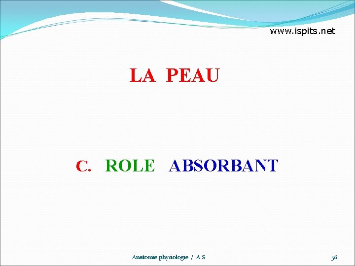 www. ispits. net LA PEAU C. ROLE ABSORBANT Anatomie physiologie / A. S 56