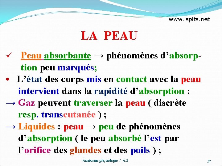 www. ispits. net LA PEAU Peau absorbante → phénomènes d’absorp- tion peu marqués; •