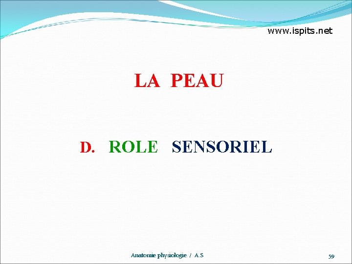 www. ispits. net LA PEAU D. ROLE SENSORIEL Anatomie physiologie / A. S 59