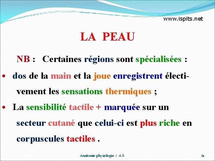 www. ispits. net LA PEAU NB : Certaines régions sont spécialisées : • dos