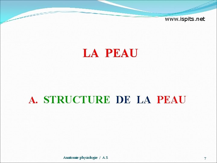 www. ispits. net LA PEAU A. STRUCTURE DE LA PEAU Anatomie physiologie / A.
