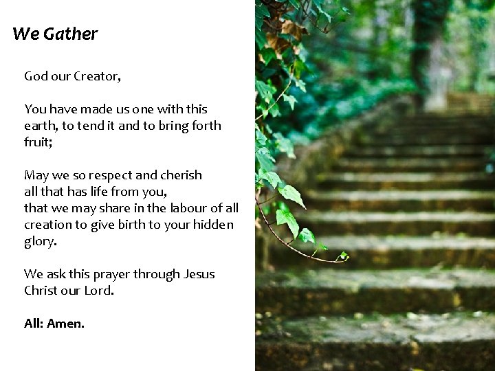 We Gather God our Creator, You have made us one with this earth, to