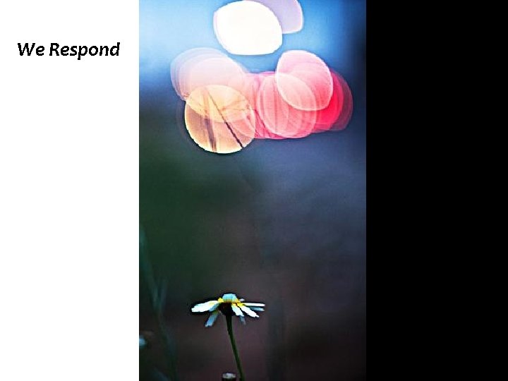We Respond 