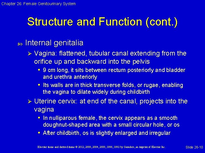 Chapter 26: Female Genitourinary System Structure and Function (cont. ) Internal genitalia Ø Vagina: