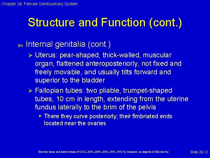 Chapter 26: Female Genitourinary System Structure and Function (cont. ) Internal genitalia (cont. )