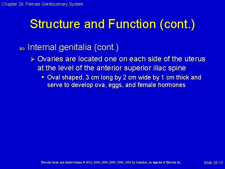 Chapter 26: Female Genitourinary System Structure and Function (cont. ) Internal genitalia (cont. )