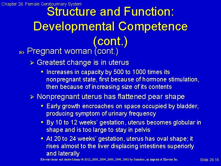 Chapter 26: Female Genitourinary System Structure and Function: Developmental Competence (cont. ) Pregnant woman