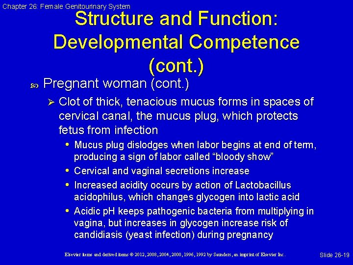 Chapter 26: Female Genitourinary System Structure and Function: Developmental Competence (cont. ) Pregnant woman