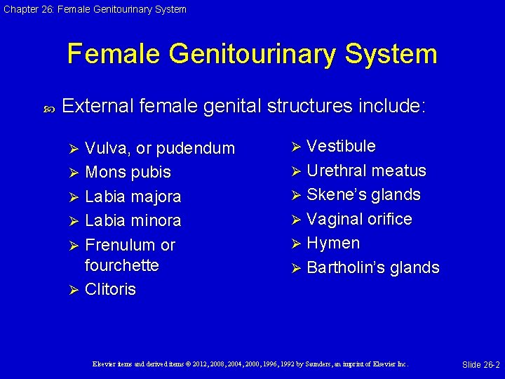 Chapter 26: Female Genitourinary System External female genital structures include: Vulva, or pudendum Ø