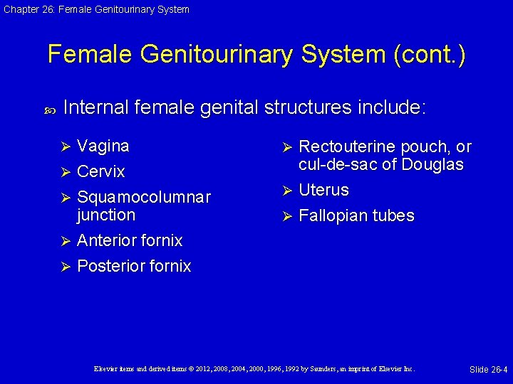 Chapter 26: Female Genitourinary System (cont. ) Internal female genital structures include: Vagina Ø