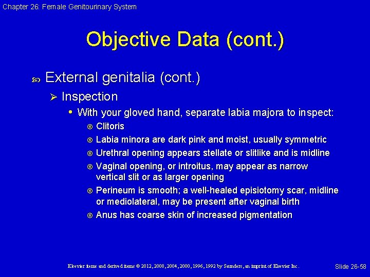 Chapter 26: Female Genitourinary System Objective Data (cont. ) External genitalia (cont. ) Ø