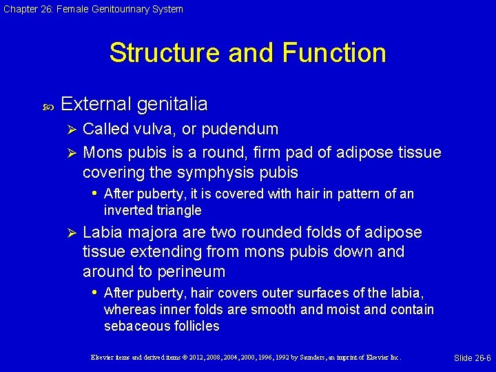 Chapter 26: Female Genitourinary System Structure and Function External genitalia Called vulva, or pudendum