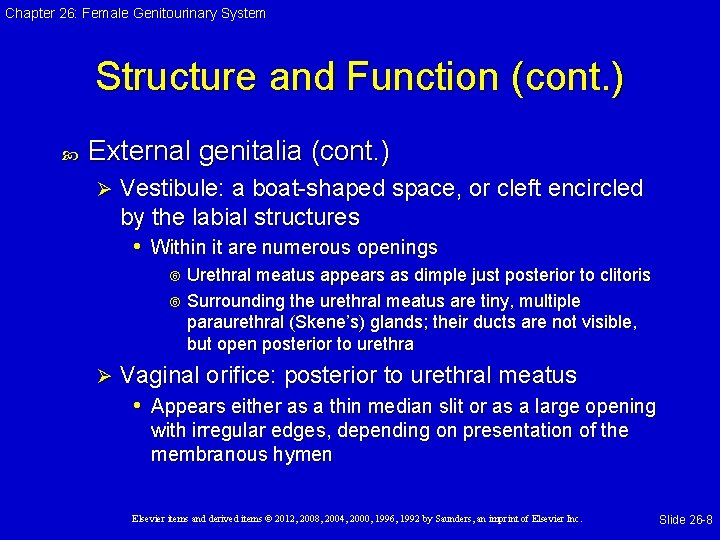 Chapter 26: Female Genitourinary System Structure and Function (cont. ) External genitalia (cont. )