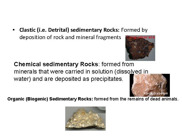  • Clastic (i. e. Detrital) sedimentary Rocks: Formed by deposition of rock and