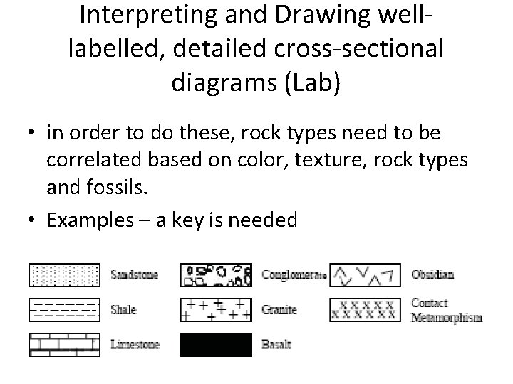 Interpreting and Drawing welllabelled, detailed cross-sectional diagrams (Lab) • in order to do these,